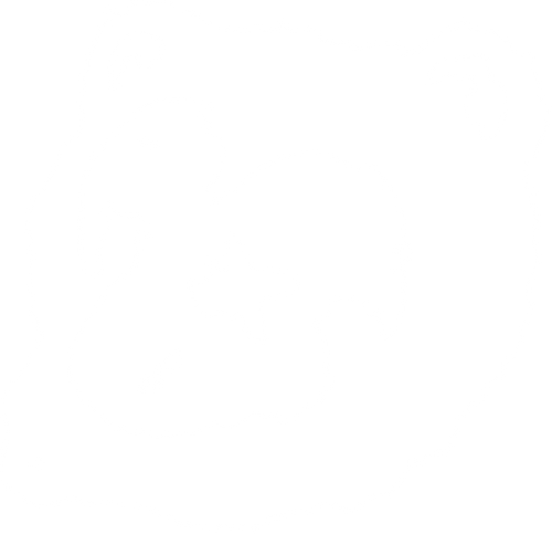 spillage village logo
